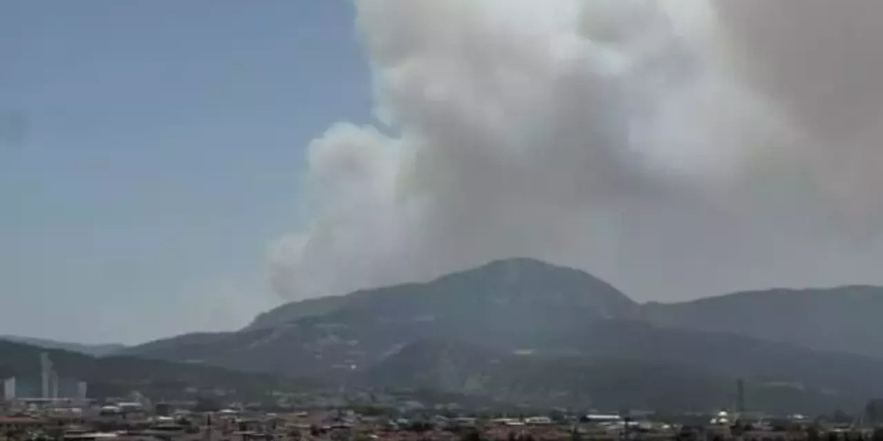 Antalya’da Orman Yangını!